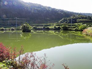s-20111020 yamaguchi  (04).jpg